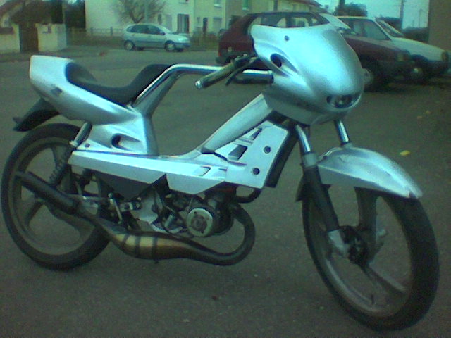 mob 31.jpe