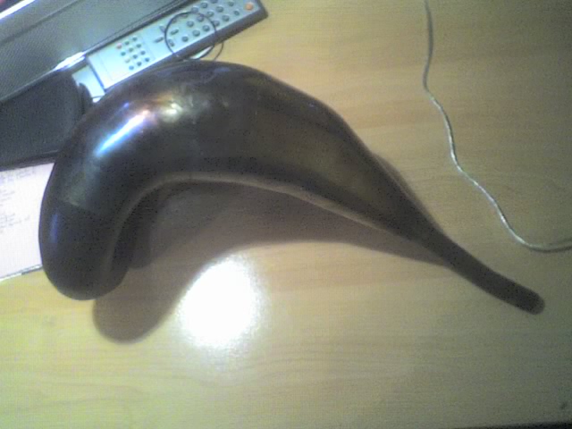 [1]_17-03-07_1301.jpg